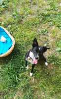 IMG-20191013-WA0005