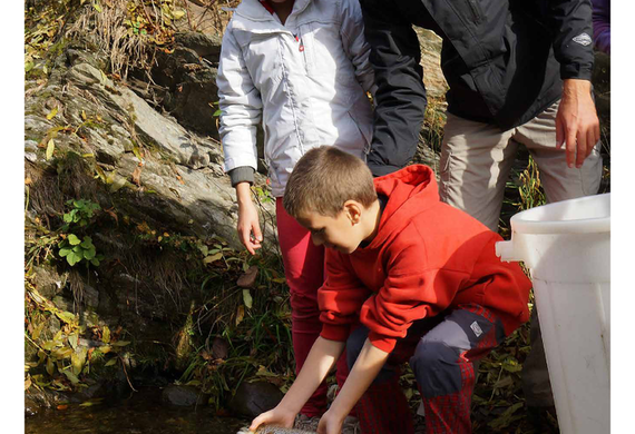 Výroční zpráva 2013
