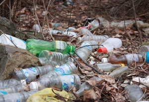 Česko uklízeli dobrovolníci Clean Up the World!