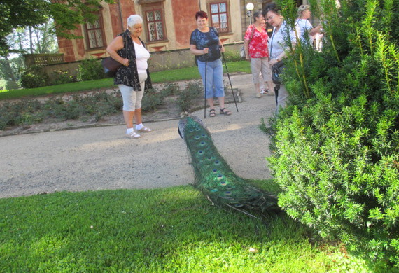 Libochovice2