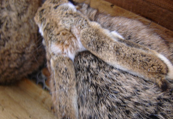 DSC02078