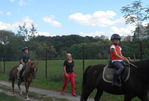 Výroční zpráva 2017