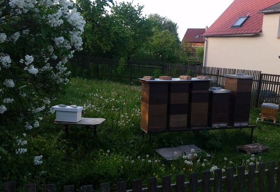 20170522_062606
