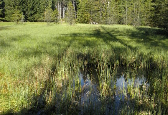Na pramenech 1 - foto Jan Moravec