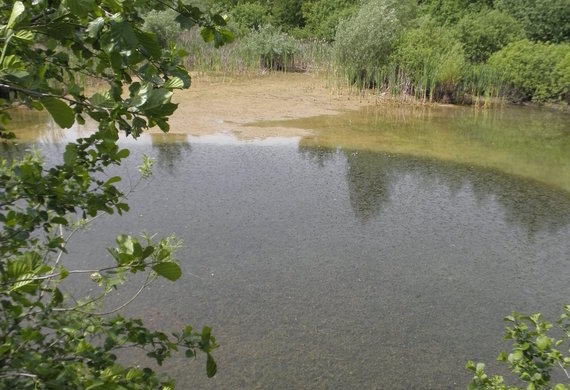 Chmeliště 2 - foto Jan Moravec