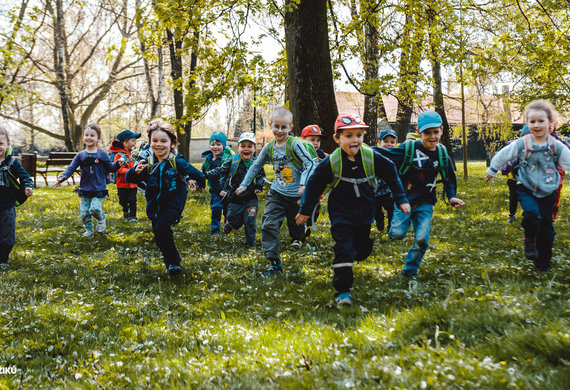 Projekty roku 2018