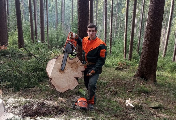 Zimmermann Ondřej_těžba dřeva