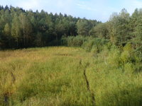 odkaliště Jívka 3 - foto Jan Moravec
