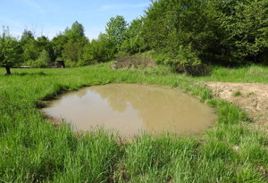 Nové tůně v bývalém areálu letiště Mošnov