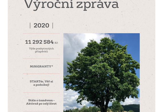 Výroční zpráva 2020