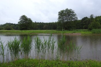 DSCN1791